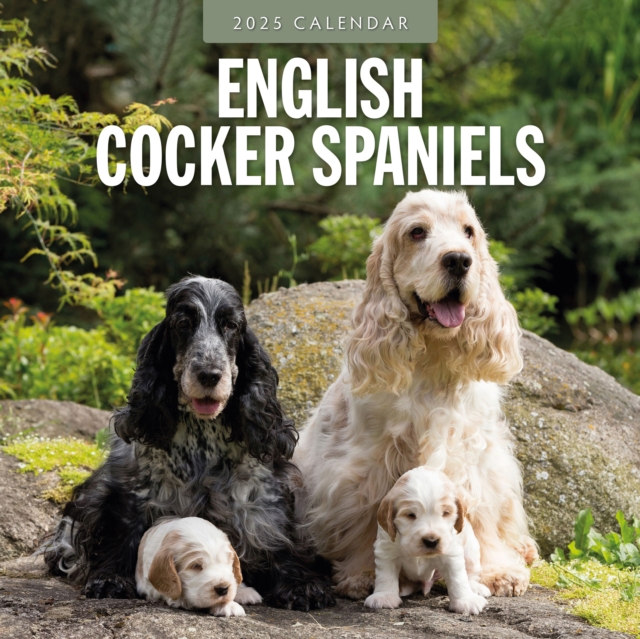 English Cocker Spaniels 2025 Square Wall Calendar