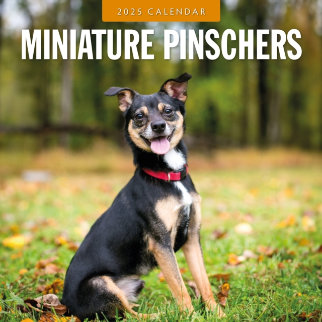 Minature Pinschers 2025 Square Wall Calendar