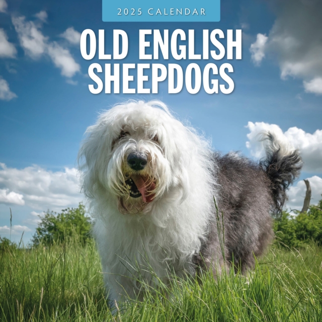 Old English Sheepdog 2025 Square Wall Calendar