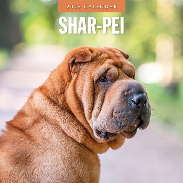 Shar-pei 2025 Square Wall Calendar