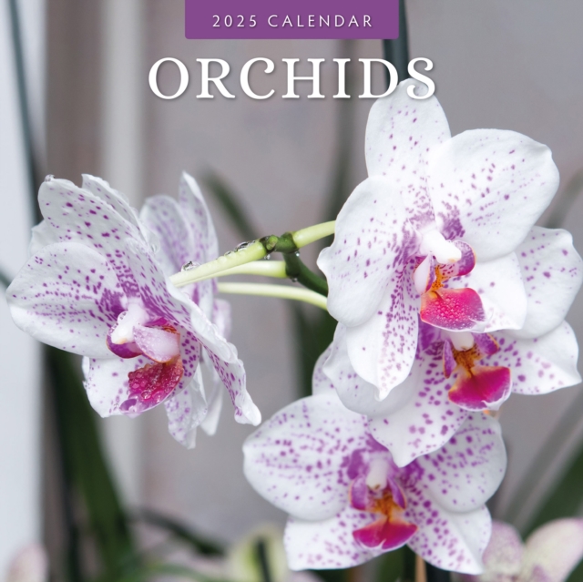 Orchids 2025 Square Wall Calendar