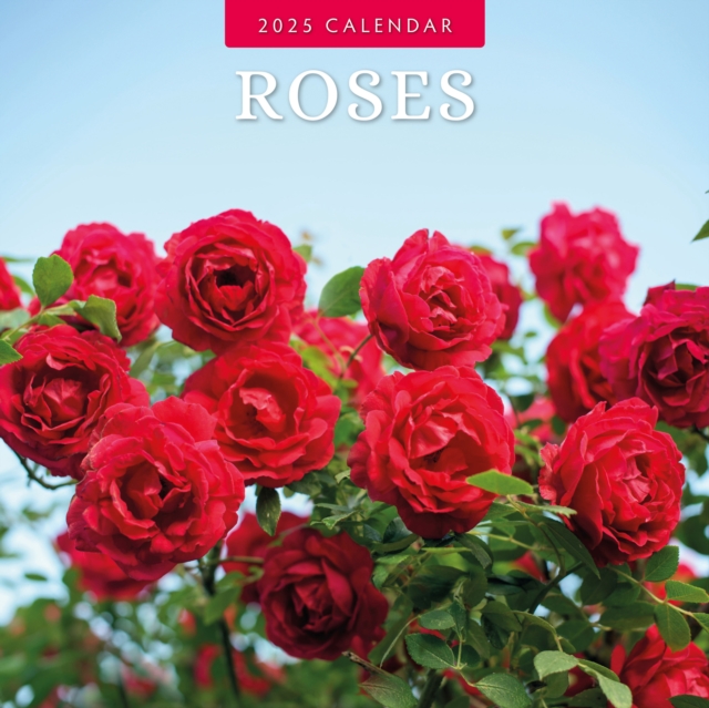 Roses 2025 Square Wall Calendar