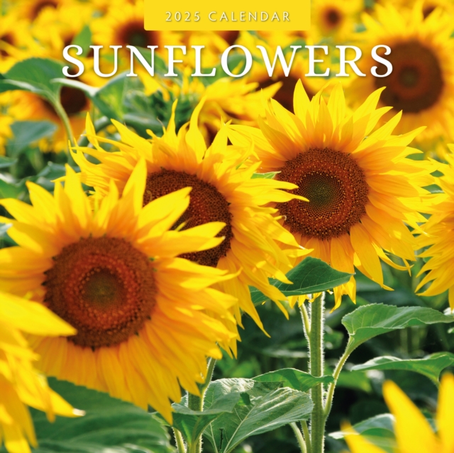 Sunflowers 2025 Square Wall Calendar