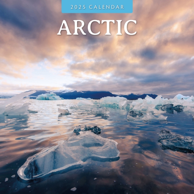 Arctic 2025 Square Wall Calendar