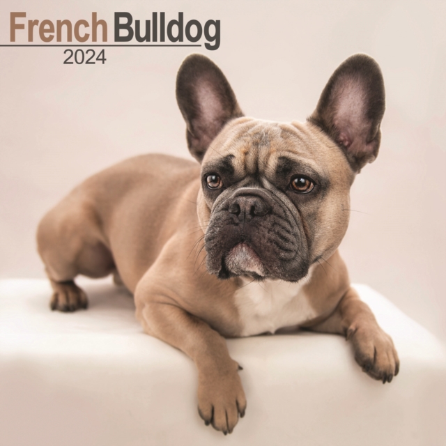 French Bulldog Calendar 2024  Square Dog Breed Wall Calendar - 16 Month