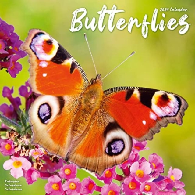 Butterflies Calendar 2024  Square Butterfly Wall Calendar - 16 Month