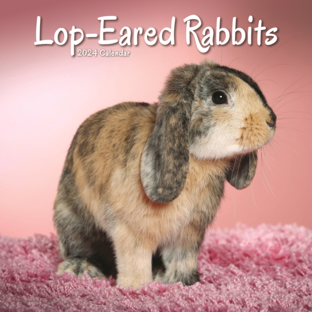 Rabbits - Lop Eared Calendar 2024  Square Animal Wall Calendar - 16 Month