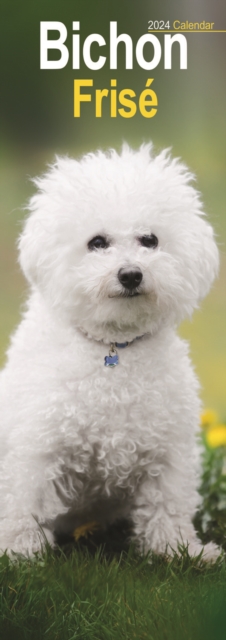 Bichon Frise Slim Calendar 2024  Dog Breed Slimline Calendar - 12 Month