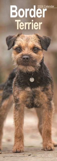 Border Terrier Slim Calendar 2024  Dog Breed Slimline Calendar - 12 Month