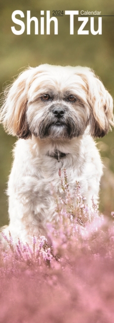 Shih Tzu Slim Calendar 2024  Dog Breed Slimline Calendar - 12 Month