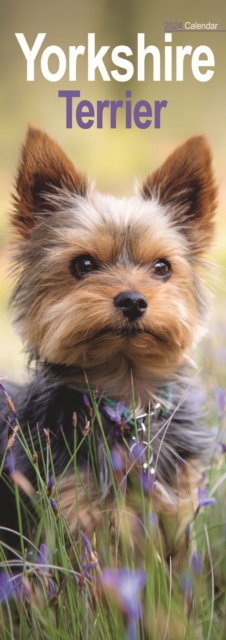 Yorkshire Terrier Slim Calendar 2024  Dog Breed Slimline Calendar - 12 Month