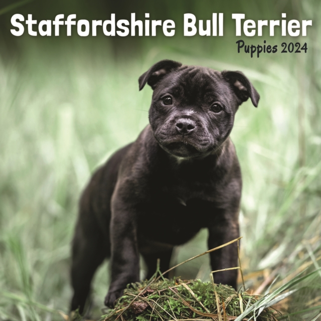 Staffordshire Bull Terrier Puppies Mini Calendar 2024