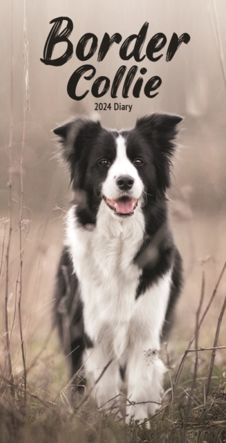 Border Collies Slim Diary 2024