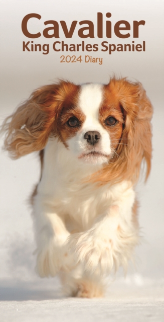 Cavalier King Charles Spaniels Slim Diary 2024