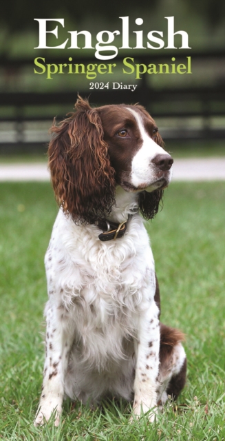 English Springer Spaniels Slim Diary 2024