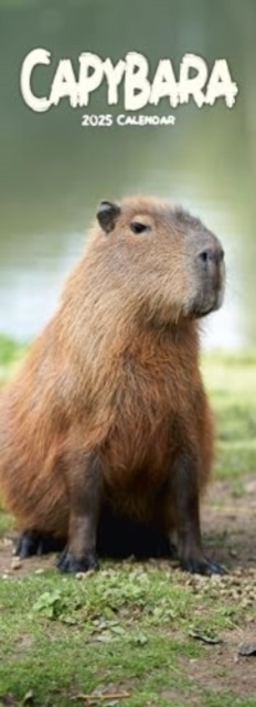 Capybara Slim Calendar 2025 Slimline Calendar - 12 Month