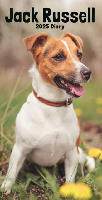 Jack Russell Terriers Slim Diary 2025