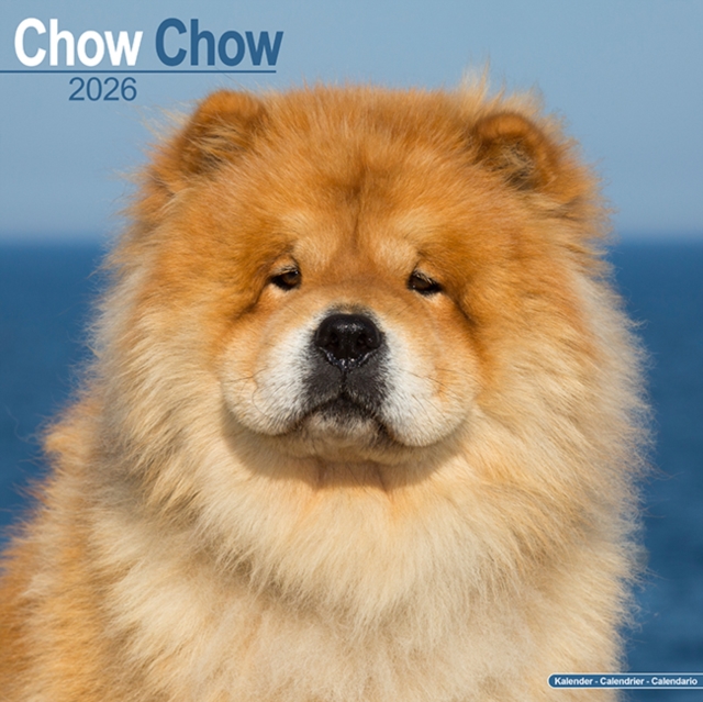 Chow Chow Calendar 2026 Square Dog Breed Wall Calendar - 16 Month