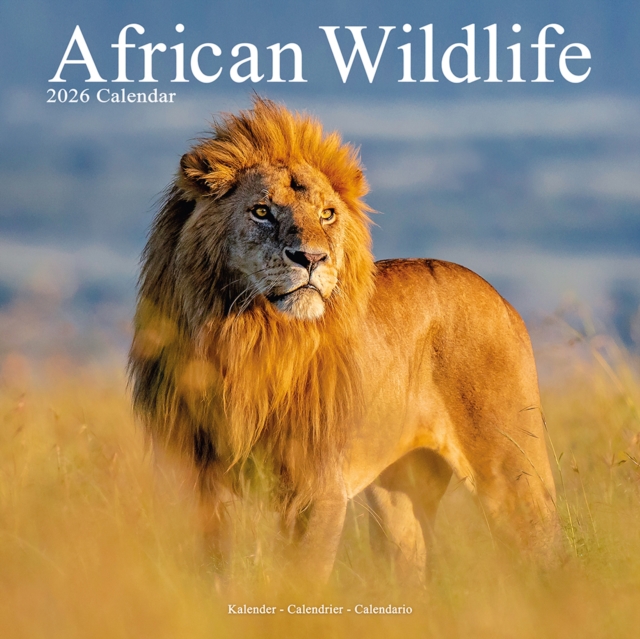 African Wildlife Calendar 2026  Square Wildlife Safari Wall Calendar - 16 Month
