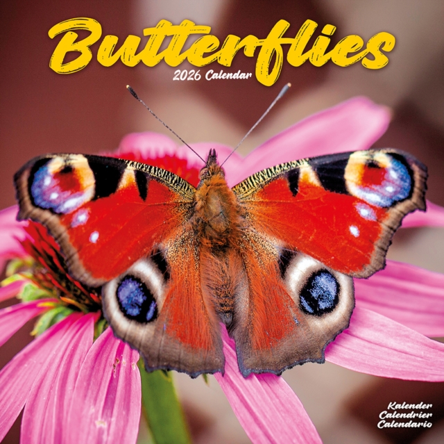 Butterflies Calendar 2026 Square Butterfly Wall Calendar - 16 Month