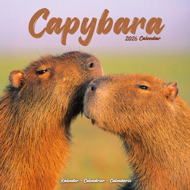 Capybara Calendar 2026  Square Animal Wall Calendar - 16 Month