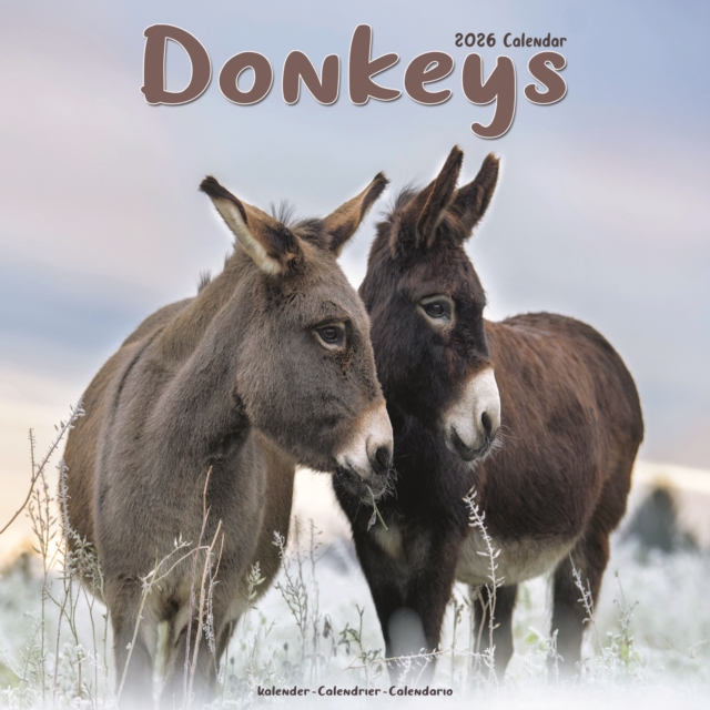 Donkeys Calendar 2026 Square Animal Wall Calendar - 16 Month