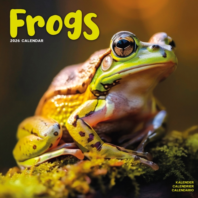 Frogs Calendar 2026 Square Animal Wall Calendar - 16 Month