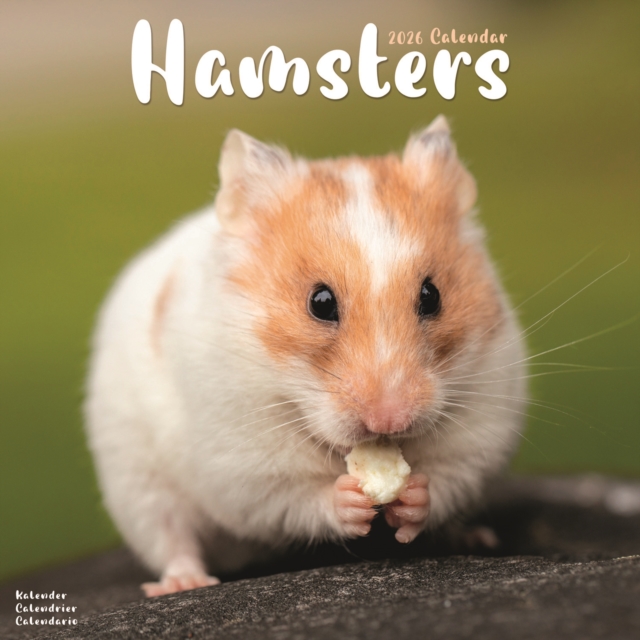 Hamsters Calendar 2026 Square Animal Wall Calendar - 16 Month