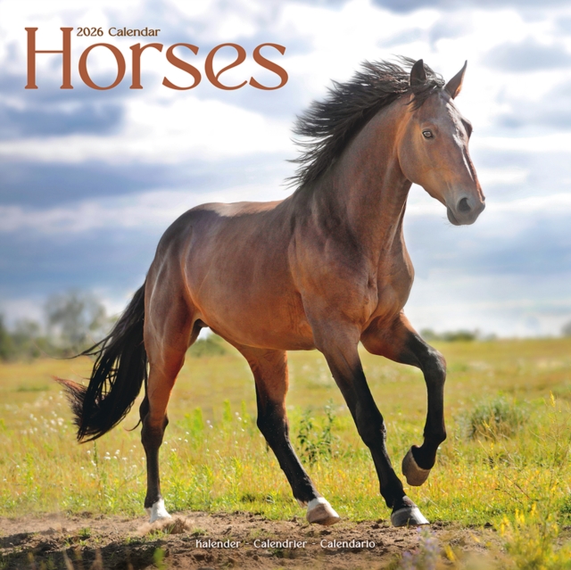Horses Calendar 2026 Square Horses Wall Calendar - 16 Month