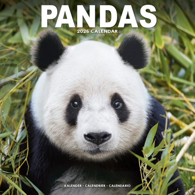 Panadas Calendar 2026  Square Animal Wall Calendar - 16 Month