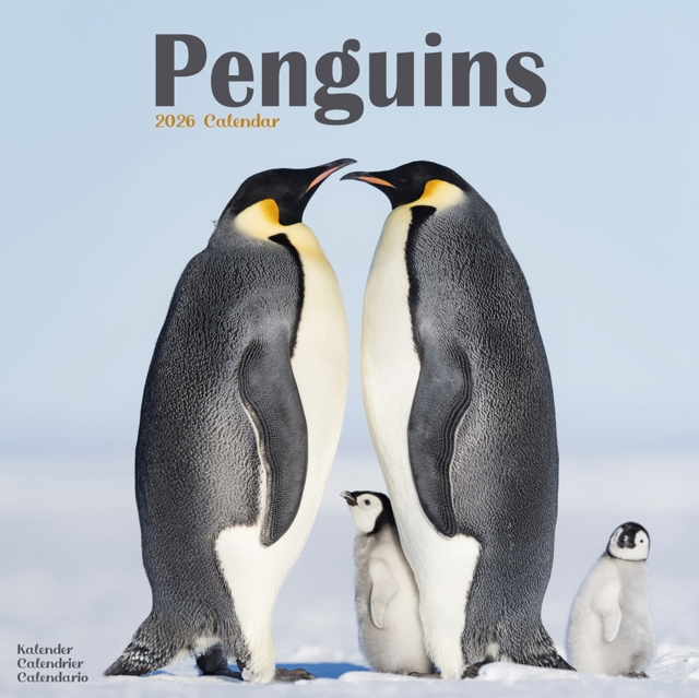 Penguins Calendar 2026 Square Animal Wall Calendar - 16 Month