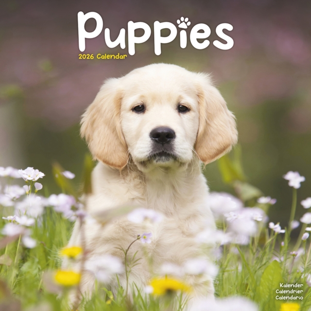 Puppies Calendar 2026  Square Animal Wall Calendar - 16 Month