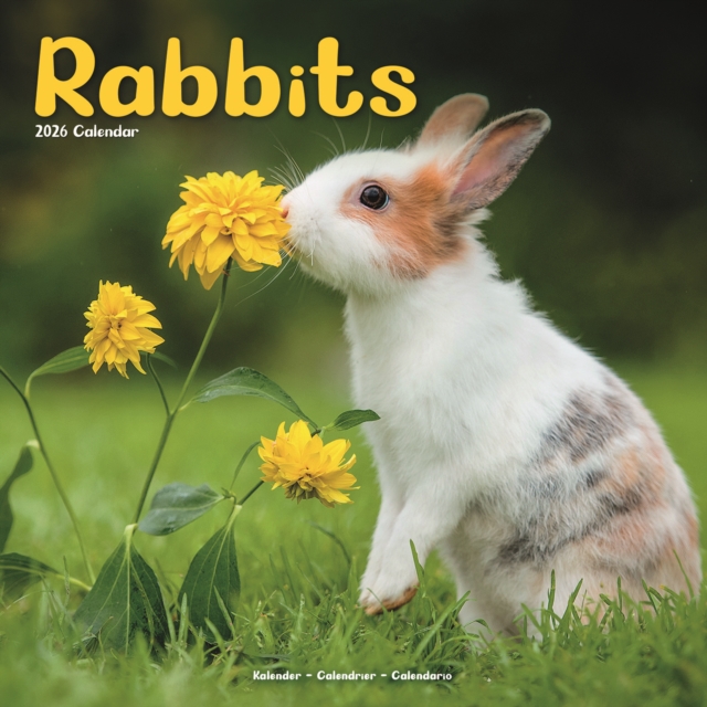 Rabbits Calendar 2026 Square Animal Wall Calendar - 16 Month