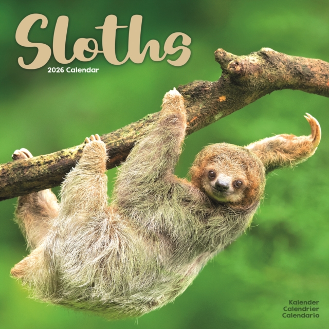 Sloths Calendar 2026  Square Animal Wall Calendar - 16 Month