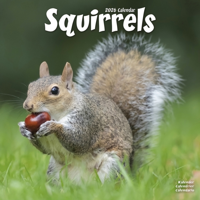 Squirrels Calendar 2026 Square Animal Wall Calendar - 16 Month