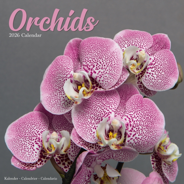 Orchids Calendar 2026 Square Flowers Wall Calendar - 16 Month