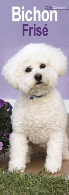 Bichon Frise Slim Calendar 2026 Dog Breed Slimline Calendar - 12 Month