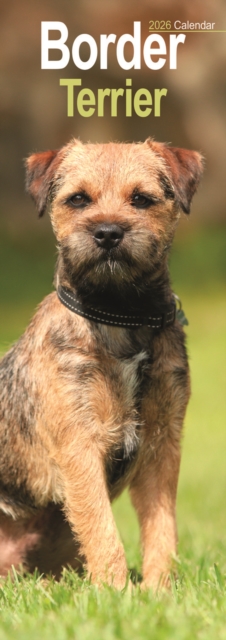 Border Terrier Slim Calendar 2026 Dog Breed Slimline Calendar - 12 Month