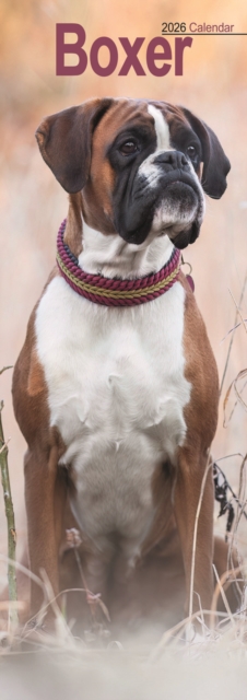Boxer Slim Calendar 2026 Dog Breed Slimline Calendar - 12 Month