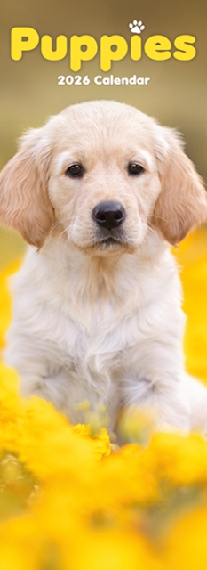 Puppies Slim Calendar 2026 Dog Breed Slimline Calendar - 12 Month