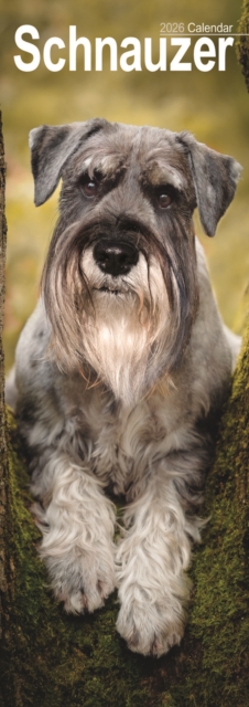 Schnauzer Slim Calendar 2026 Dog Breed Slimline Calendar - 12 Month