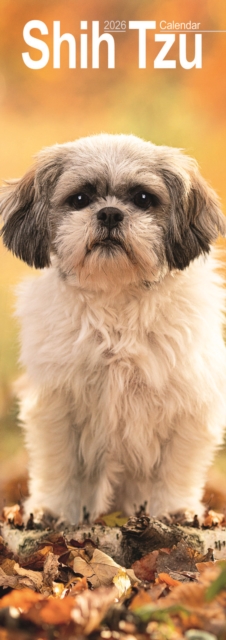 Shih Tzu Slim Calendar 2026 Dog Breed Slimline Calendar - 12 Month