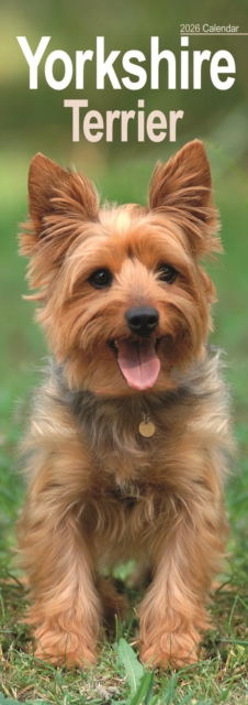 Yorkshire Terrier Slim Calendar 2026 Dog Breed Slimline Calendar - 12 Month