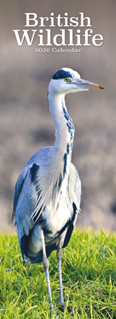 British Wildlife Slim Calendar 2026 Slimline Calendar - 12 Month