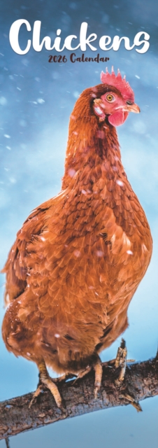 Chickens Slim Calendar 2026 Bird Slimline Calendar - 12 Month
