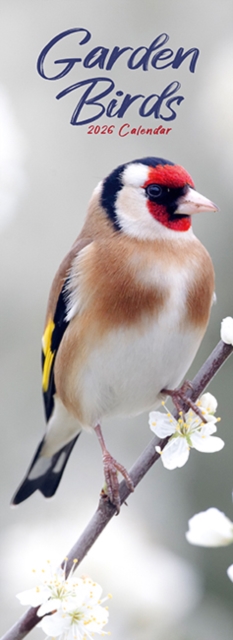 Garden Birds Slim Calendar 2026  Bird Slimline Calendar - 12 Month