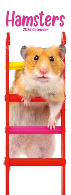 Hamsters Slim Calendar 2026 Cute Slimline Calendar - 12 Month