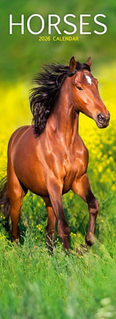 Horses Slim Calendar 2026  Horses Slimline Calendar - 12 Month