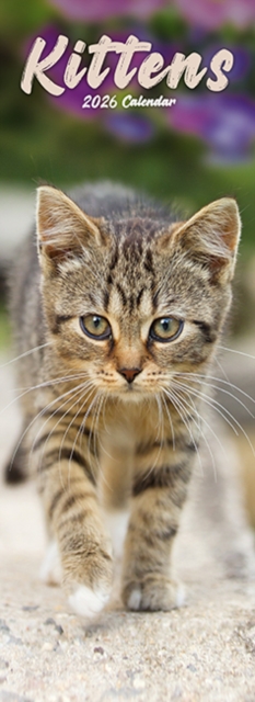 Kittens Slim Calendar 2026  Cute Slimline Calendar - 12 Month