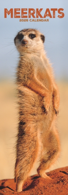 Meerkats Slim Calendar 2026 Cute Slimline Calendar - 12 Month